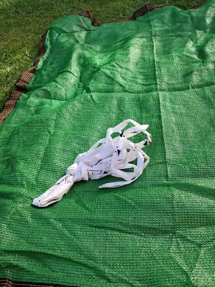 Photo of free Used as sunshade for pet run (Belper DE56) #3