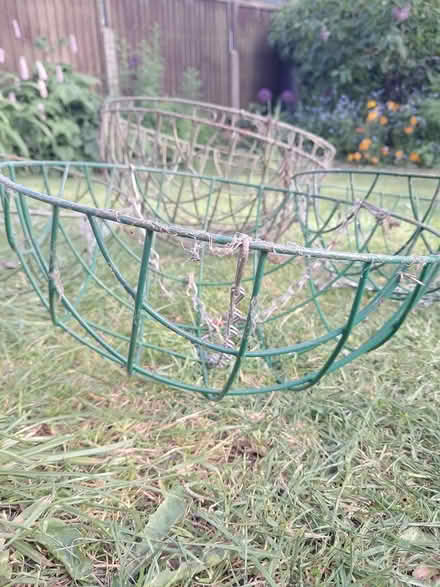 Photo of free Hanging baskets (Belper DE56) #1