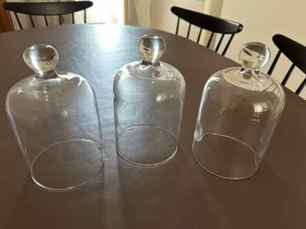 Photo of free 3 bell jars (Erith DA8) #1