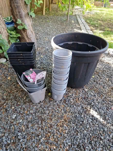 Photo of free Plastic plant pots (Kingsley Park NN2) #1