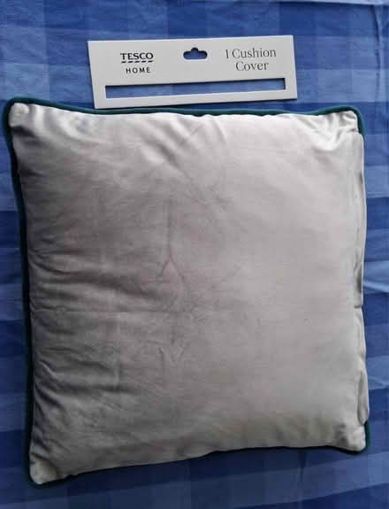 Photo of free Cushion (inc insert) (Roffey) #2