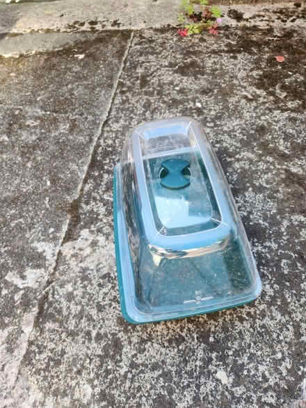 Photo of free Seed tray (M6 6ED) #3