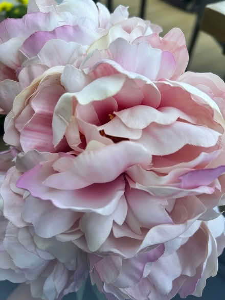 Photo of free Pink Faux Peonies (New Haw, KT15) #2