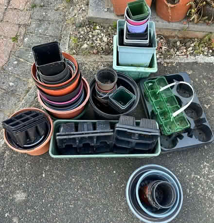Photo of free Job lot of plastic seed pots (Low Beechburn DL15) #2