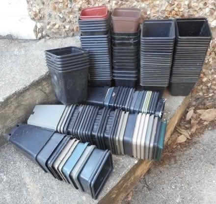 Photo of free Loads of small plastic plant pots (East Croydon CR0) #1