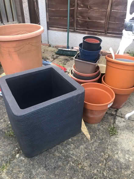 Photo of free Plant Pots (Parson's Heath CO4) #1