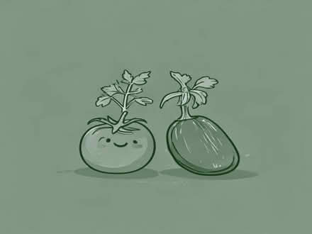 Photo of Tomato and courgette plants (Chaddesden Wood DE21) #1