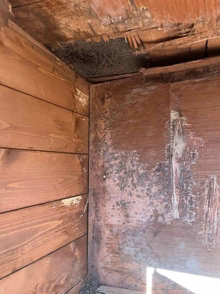 Photo of repair - large rabbit hutch (Kings Heath B13) #3