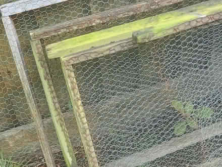 Photo of free Chicken wire frames (Headington OX3) #2