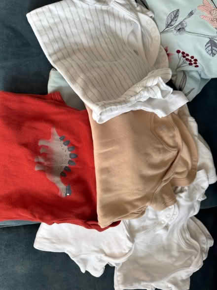 Photo of free Baby vests 18-24 months (Hale Village) #1