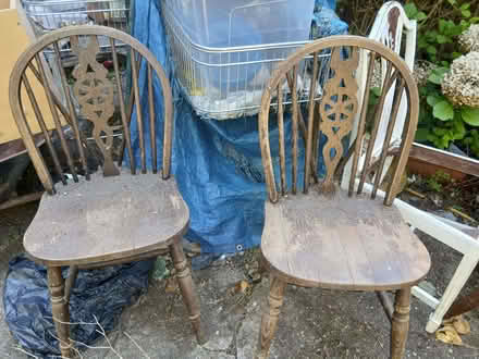 Photo of free Approx 20 kitchen/dining chairs, some pairs (Tile Hill CV4) #1