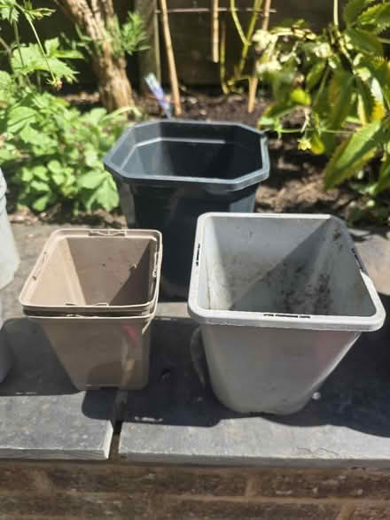 Photo of free Plastic Plant Pots (Bovingdon) #2