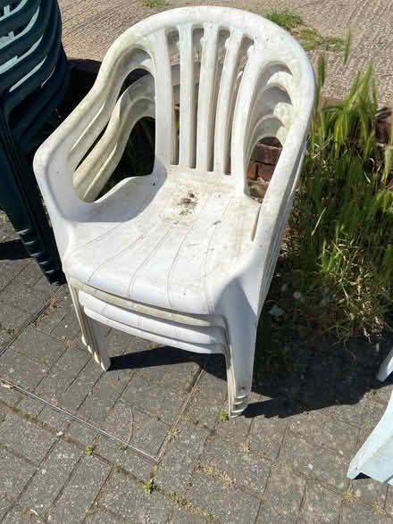 Photo of free 4 x white plastic patio chairs (Farlington PO6) #1