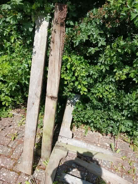 Photo of free Lengths of oak (Woodstock OX20) #1