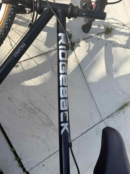 Photo of free Women’s bike (Canvey Island) #3