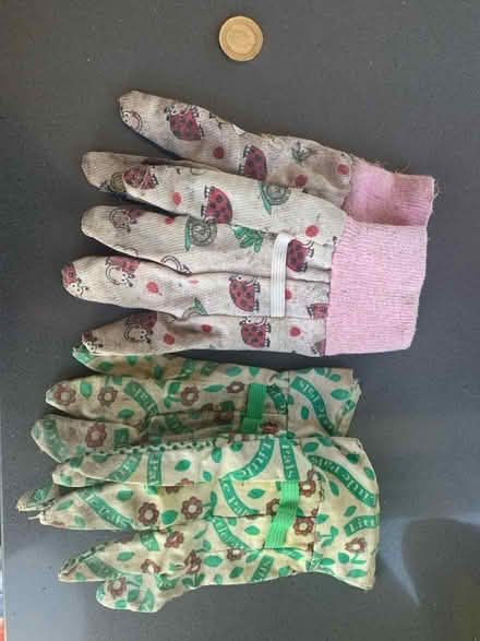 Photo of free 2 pairs of children’s gardening gloves (Norton Lees S8) #1