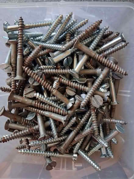 Photo of free Slotted Head Screws (Cradley WR13) #1