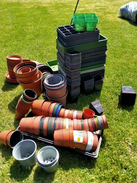 Photo of free 50+ plastic plant pots and trays (Penrith CA11) #1