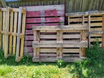 Photo of free Wooden Pallets (Bexhill on Sea) #1