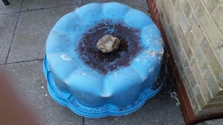 Photo of free Paddling Pool/Sandpit/Toys (Old Farm Park MK7) #3