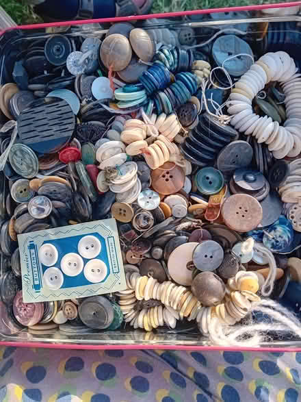 Photo of free Vintage buttons (Lamorbey DA15) #1