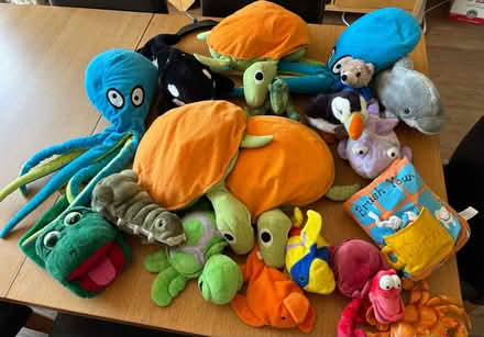 Photo of free Marine themed soft toys (Kippington TN13) #1