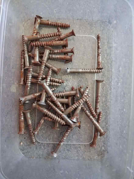 Photo of free Slotted Head Screws (Cradley WR13) #2