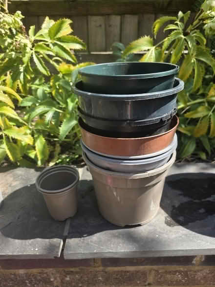 Photo of free Plastic Plant Pots (Bovingdon) #4