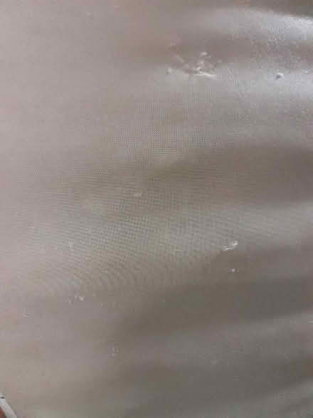 Photo of free Single size mattress and base (Charmhaven) #1