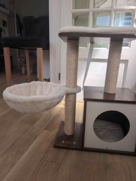 Photo of free Cat tree by feandrea (Old Coulsdon CR5) #2
