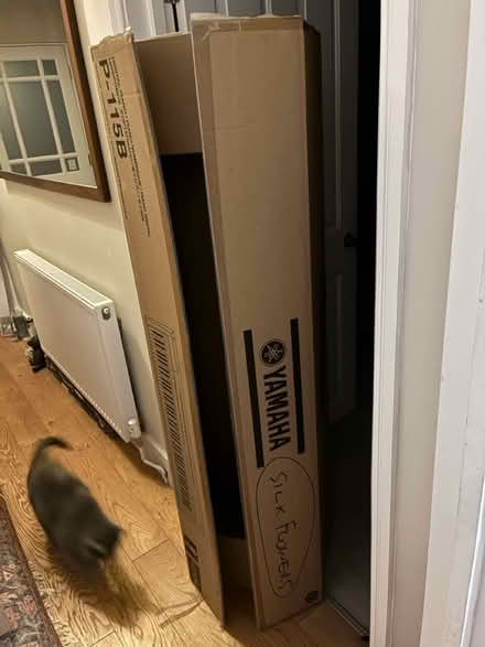 Photo of free Really Big Cardboard Box (Long Ditton, KT6) #1