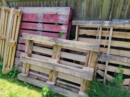 Photo of free Wooden Pallets (Bexhill on Sea) #3