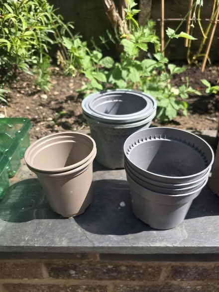 Photo of free Plastic Plant Pots (Bovingdon) #1