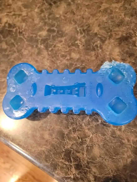 Photo of free Nylabone, slightly chewed (Bartlett: Devon and Newport) #2