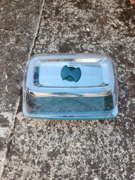 Photo of free Seed tray (M6 6ED) #1