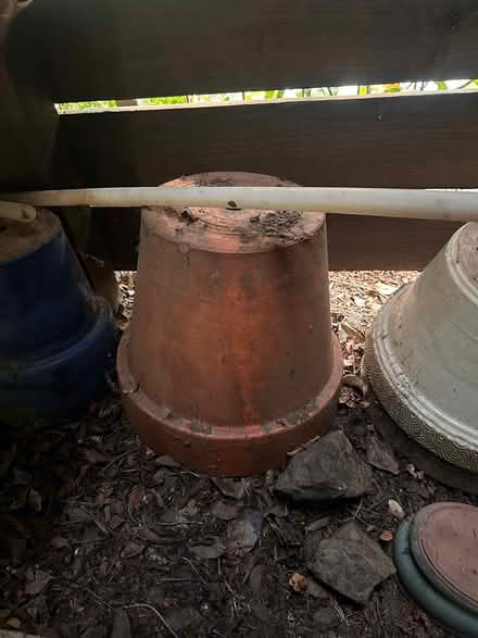 Photo of free 5 Terracotta Pots (Kentfield) #4