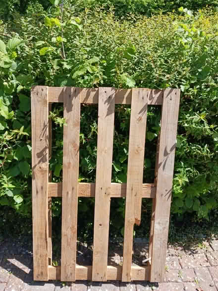 Photo of free Pallet (Woodstock OX20) #1