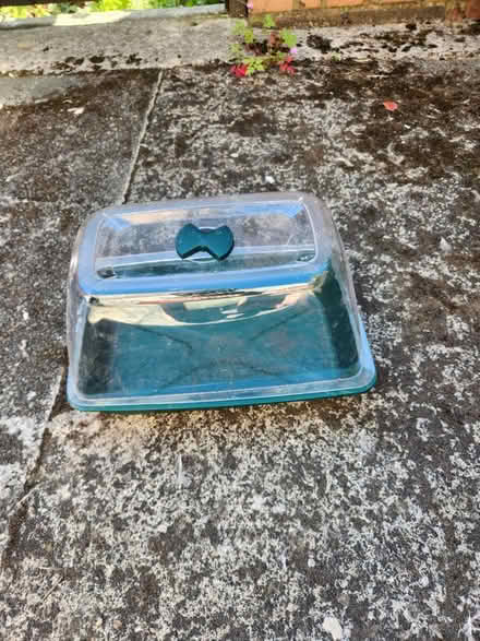 Photo of free Seed tray (M6 6ED) #2