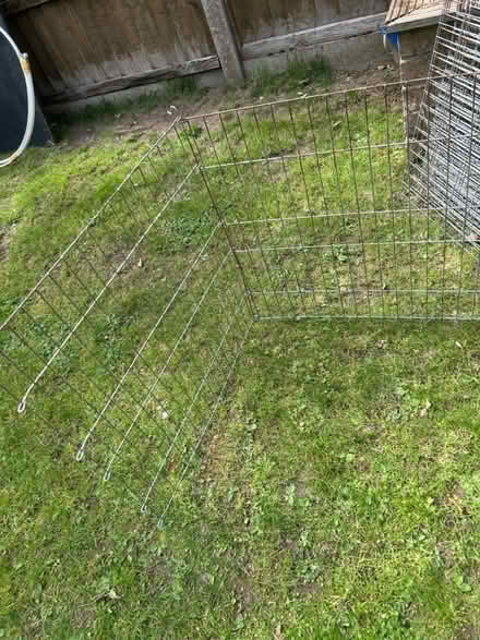 Photo of free Rabbit run / wire fencing panels (Bisley Woking GU24) #4