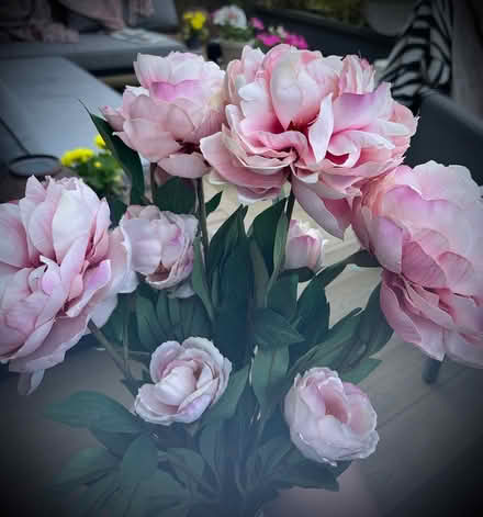 Photo of free Pink Faux Peonies (New Haw, KT15) #1