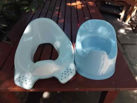 Photo of free Blue potty and white childs toilet seat (Lakenham NR1) #1