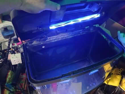 Photo of free aquarium (Hayes UB3) #2