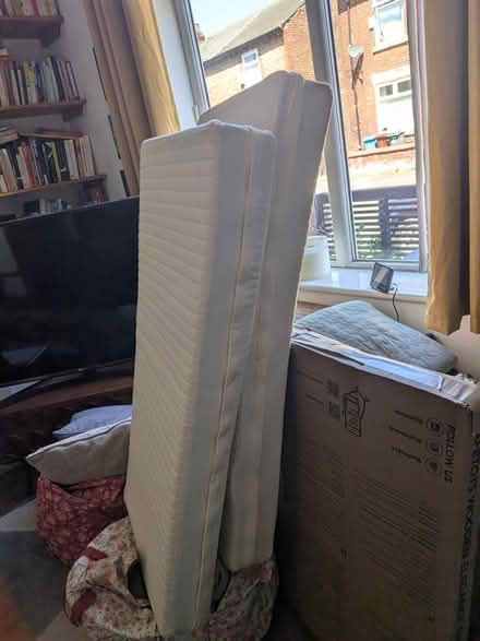 Photo of free 2 X large foam cushions (Manchester M19) #1