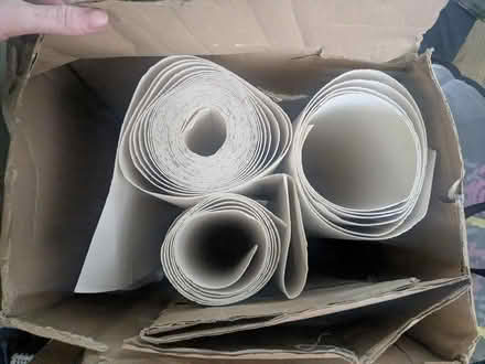 Photo of free Anaglypta wallpaper (M32 stretford) #1