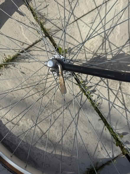 Photo of free Women’s bike (Canvey Island) #4