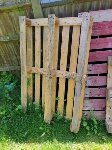 Photo of free Wooden Pallets (Bexhill on Sea) #2