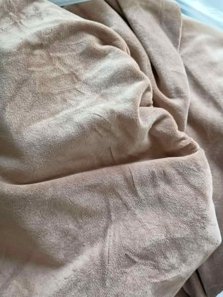 Photo of free Velvet loose covers sofa +chairs (Thorpe Bay SS1) #2