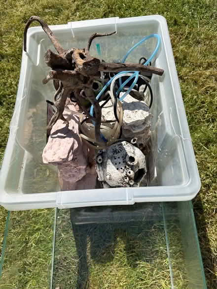 Photo of free Fish/turtle tank (Sydney, crewe) #2