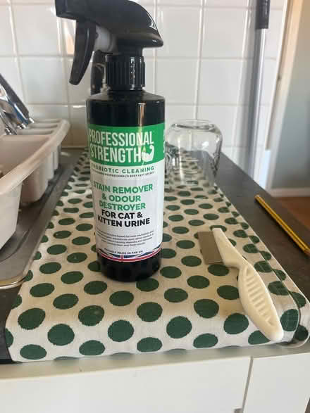 Photo of free Cat urine odour and stain remover (Stretford) #1