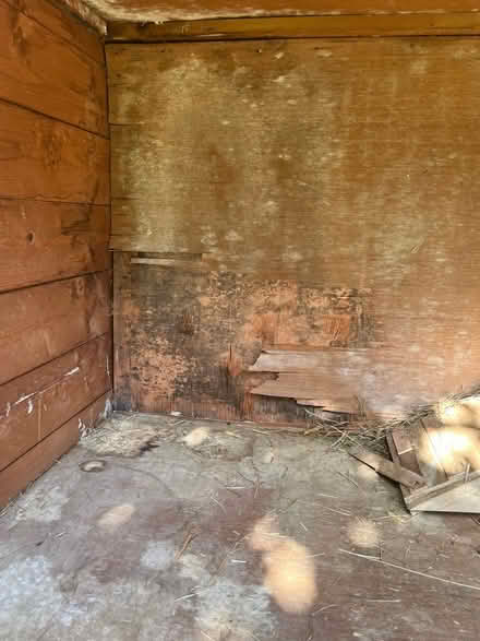 Photo of repair - large rabbit hutch (Kings Heath B13) #4